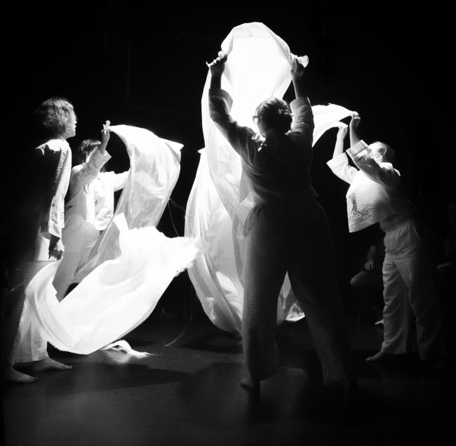 Viva Vocal Ensemble, foto Kerstin Ehrnlund